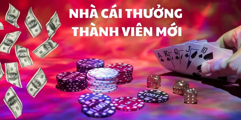 Sân chơi này có rất nhiều ưu đãi siêu hấp dẫn