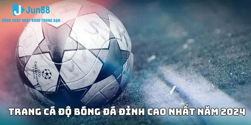 Trang cá độ bóng đá đình đám đỉnh cao nhất năm 2024